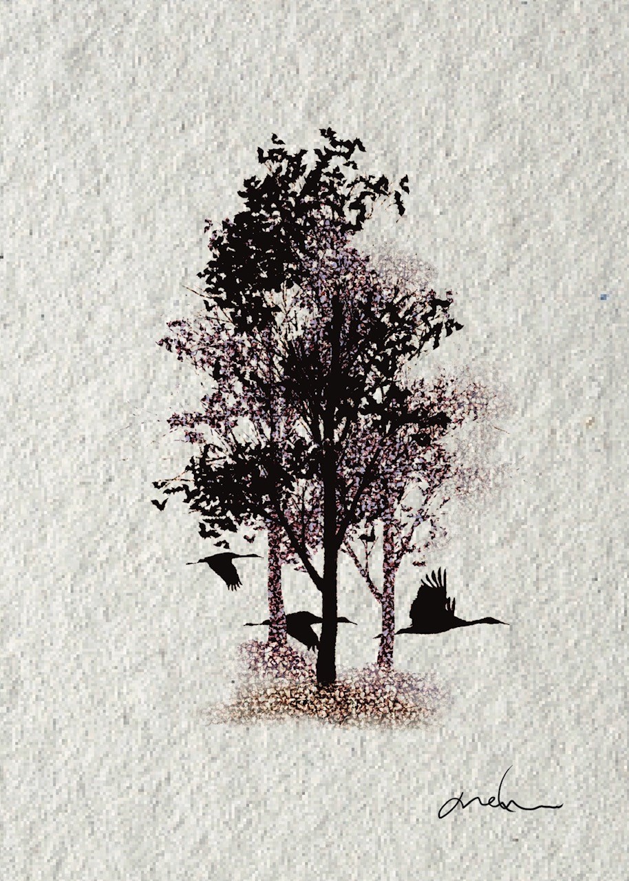 À la recherche de l’arbre perdu