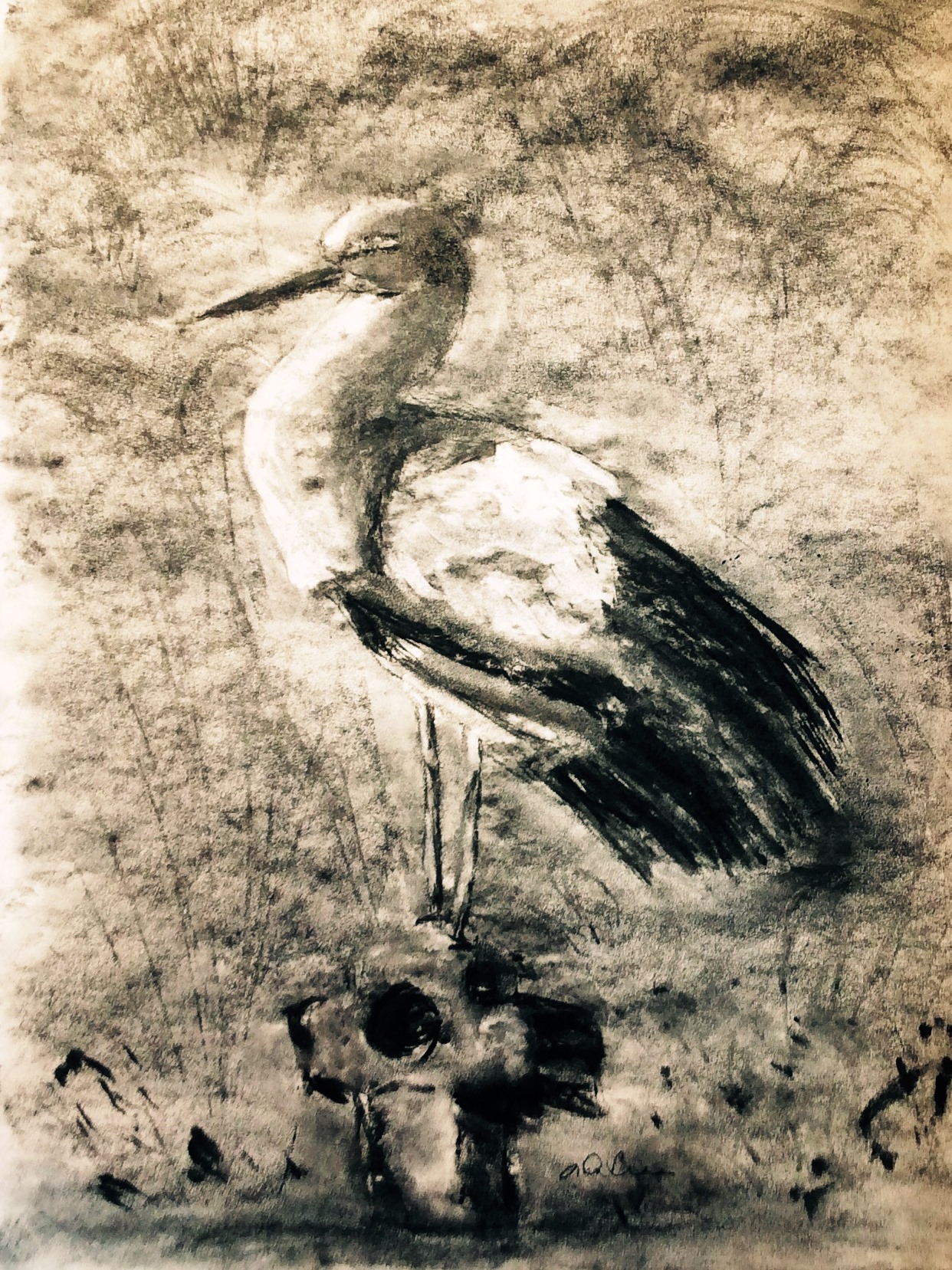 Cigogne en noir et blanc