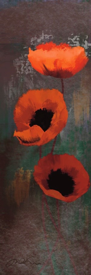 De l’ombre à la lumière