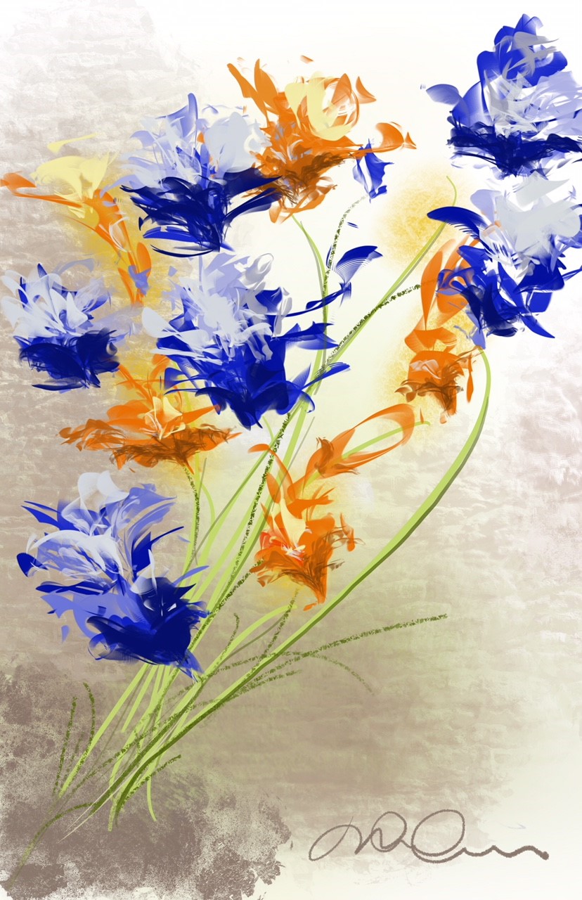 Extravagantes fripouilles