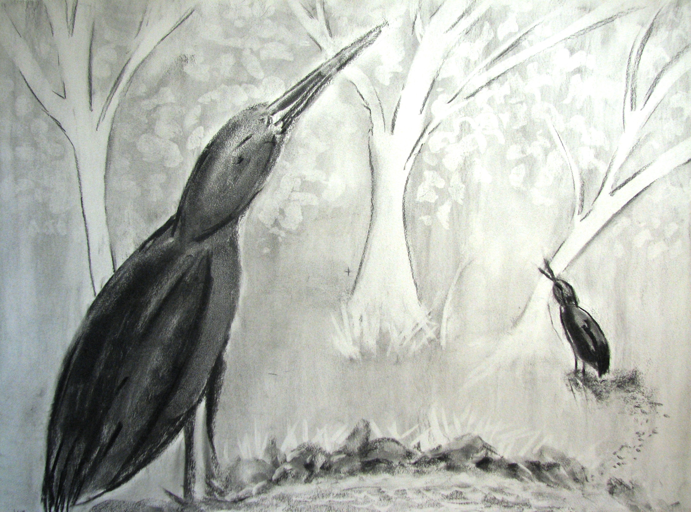 Oiseaux ailleurs en négatif