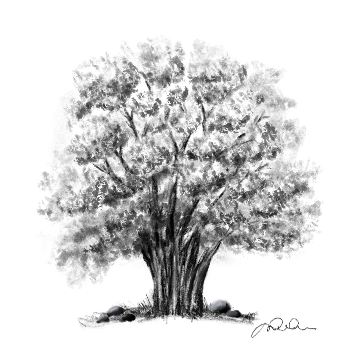 La force silencieuse