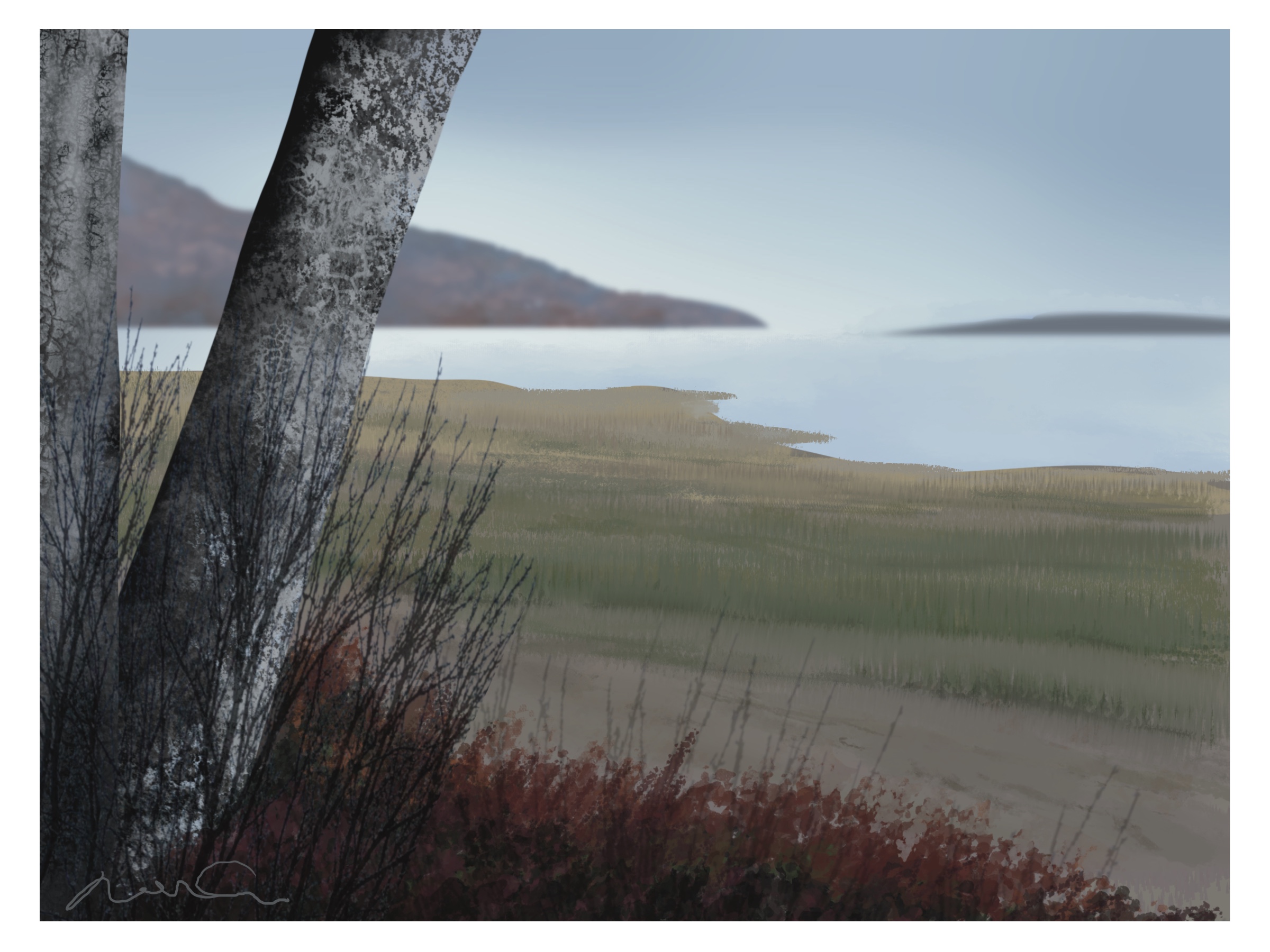 La plage accueillante