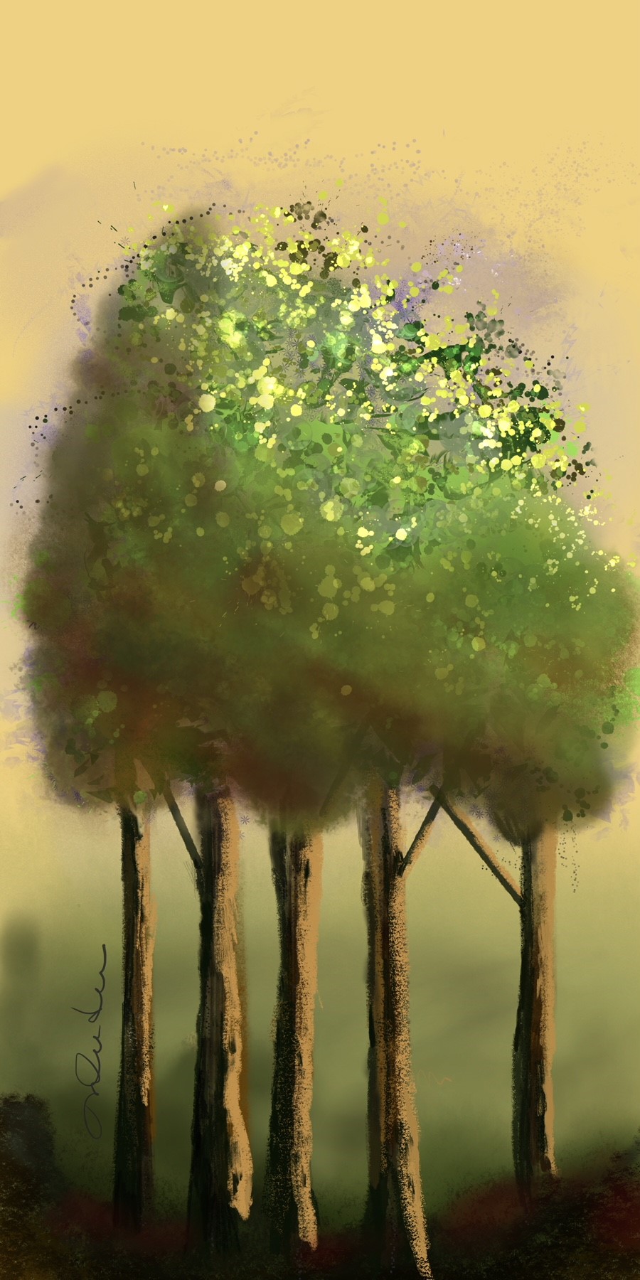 L’arbre aux cinq troncs