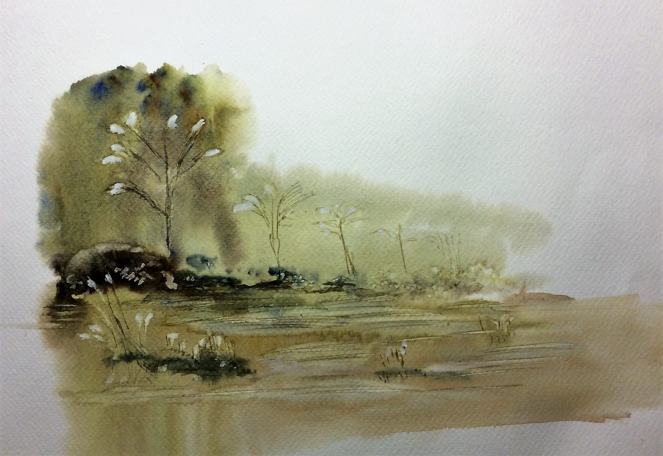 Le marais des virgiliers