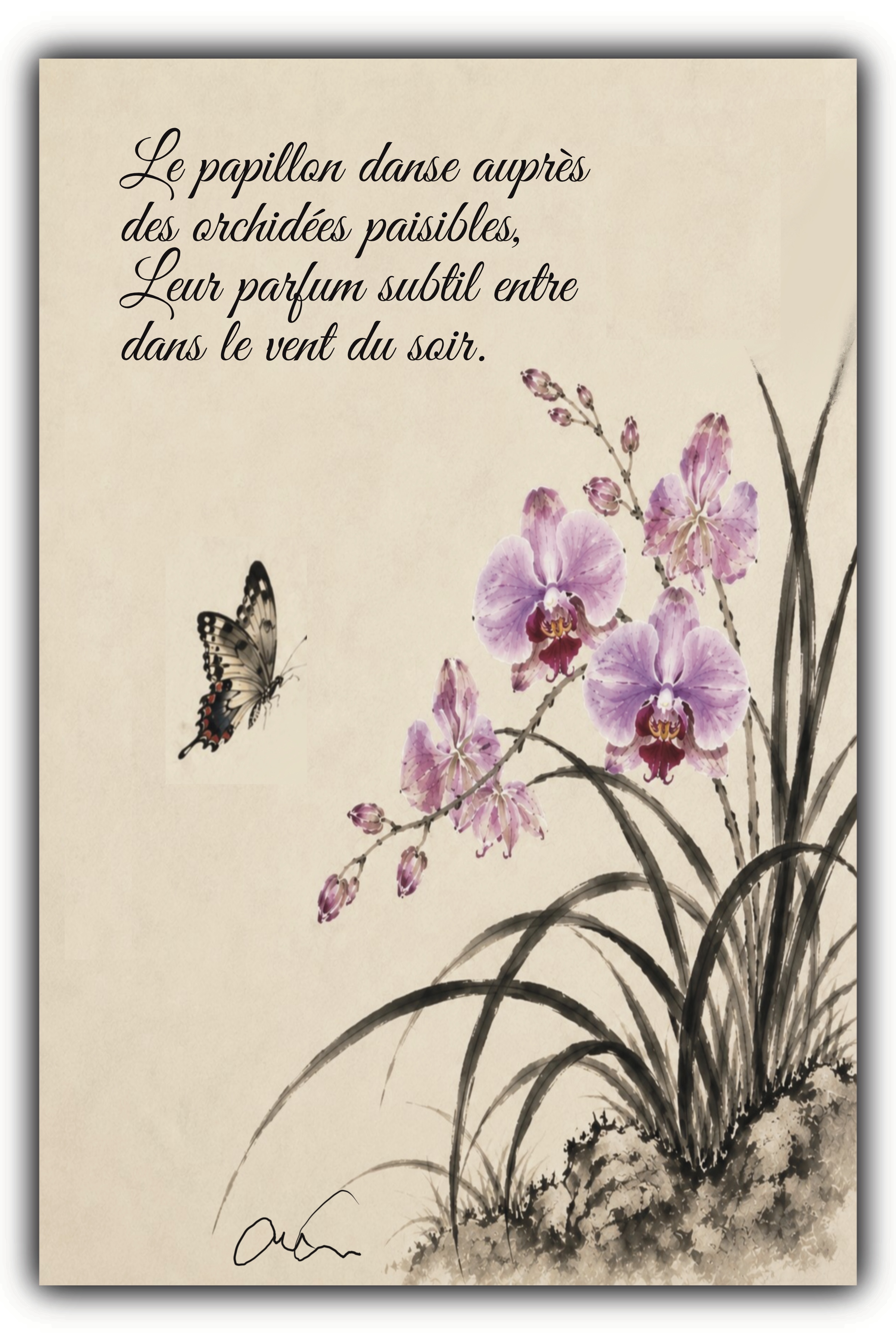 Le papillon 