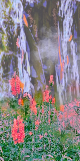 Les frivoles venues de loin