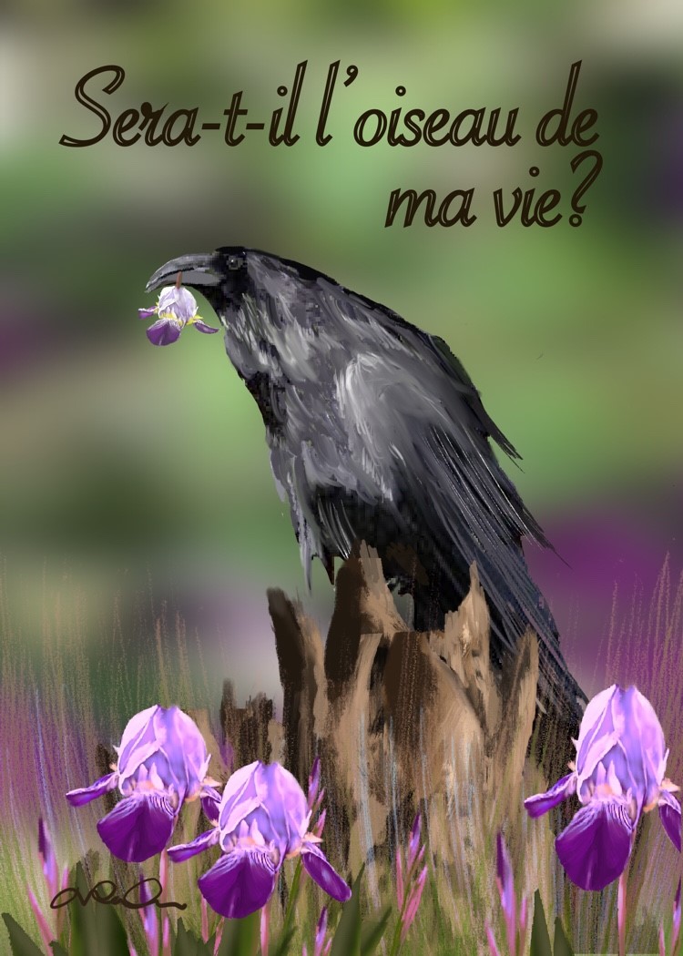 L’oiseau et sa fleur