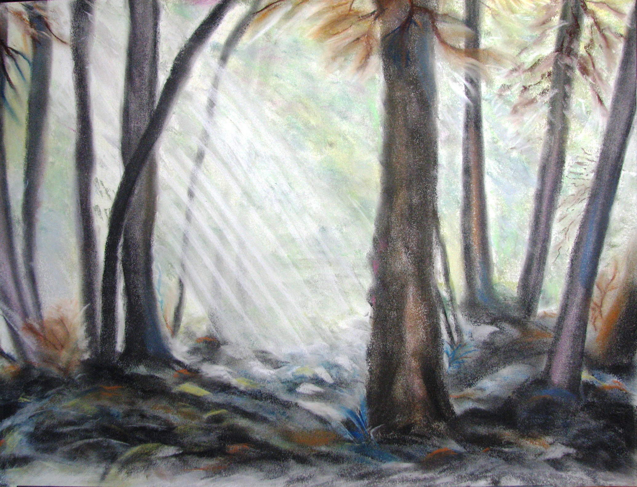 Lumière en forêt