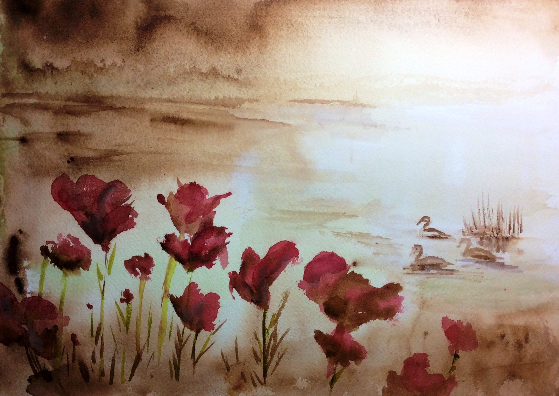 Promenade tranquille