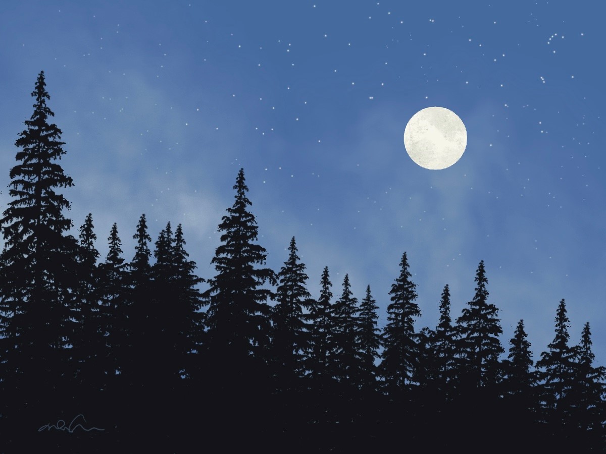 Solitude et bien-être