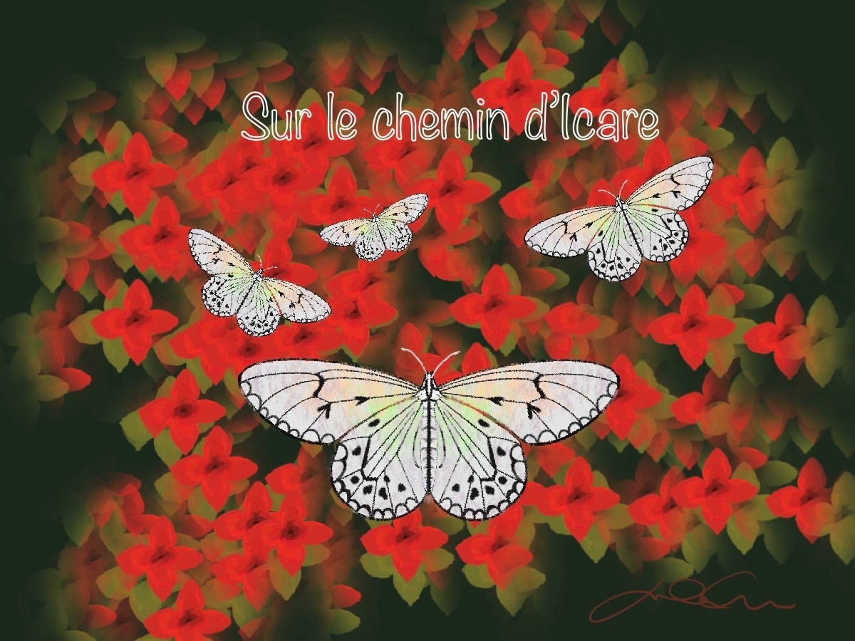 Sur le chemin d’Icare
