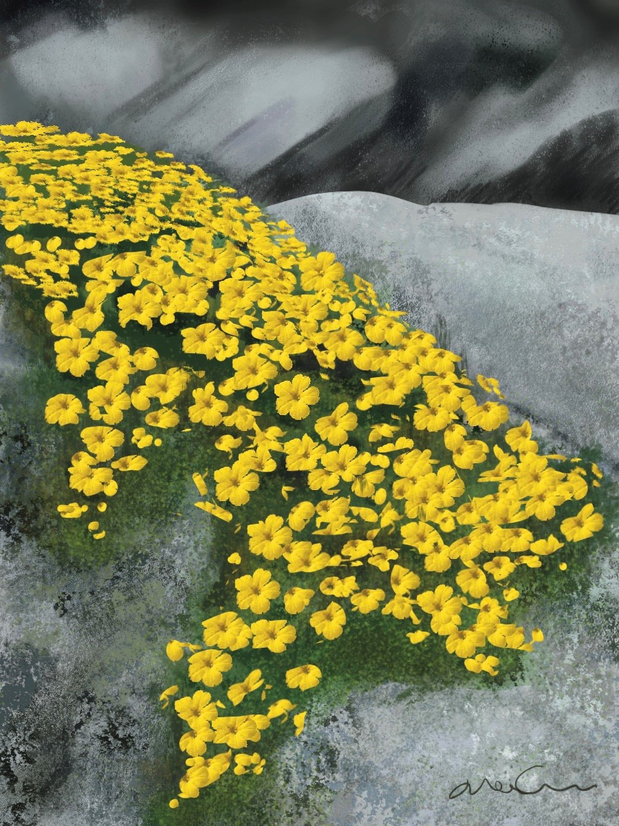 Sur les traces des pas perdus