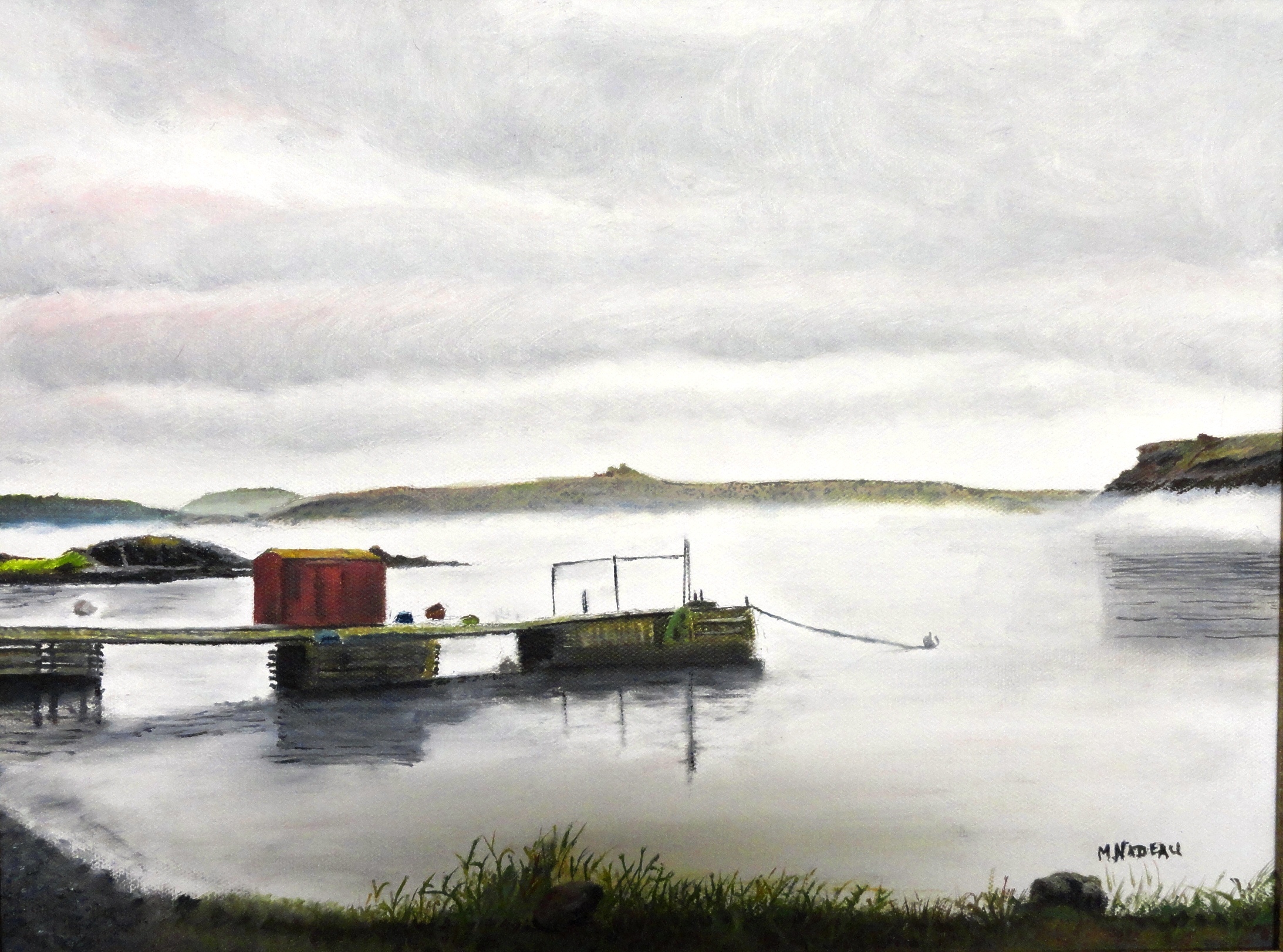 Anse brumeuse à Terre-Neuve